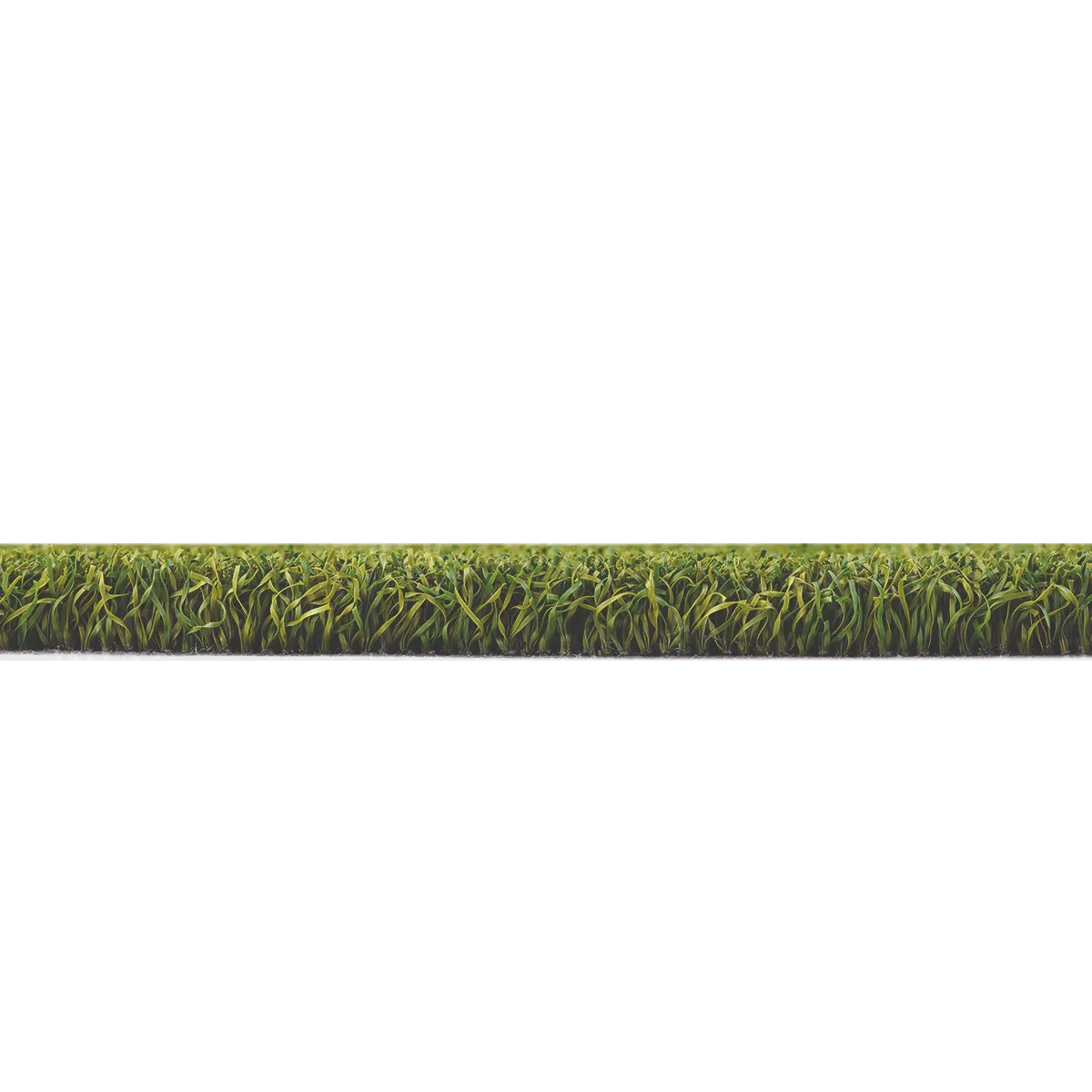 PUTTING GREEN - Katman Yapısı